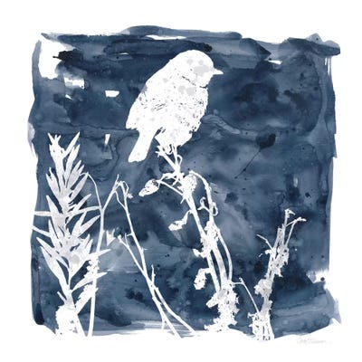 Indigo Bird I by Carol Robinson canvas print