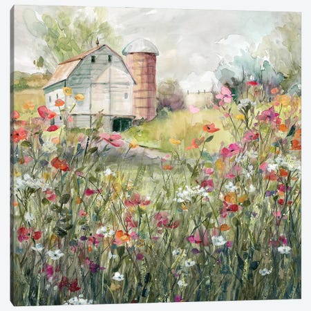Farm in Bloom Canvas Print #CRO1502} by Carol Robinson Art Print
