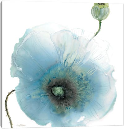 Iridescent Blue Poppy I Canvas Art Print - Carol Robinson