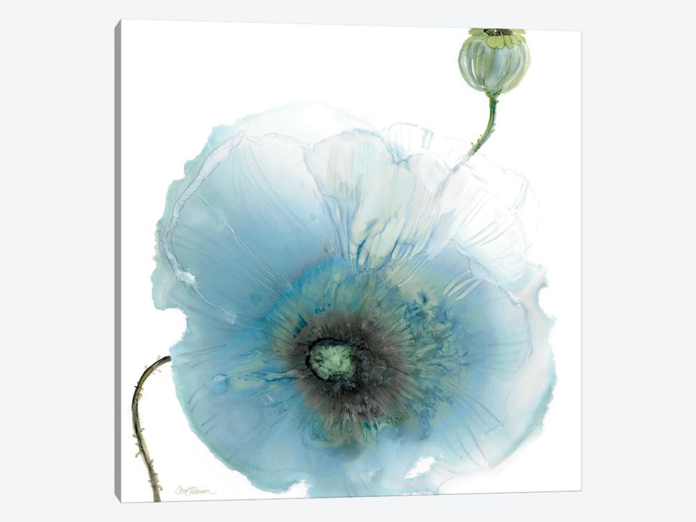 Iridescent Blue Poppy I by Carol Robinson 1-piece Canvas Art Print