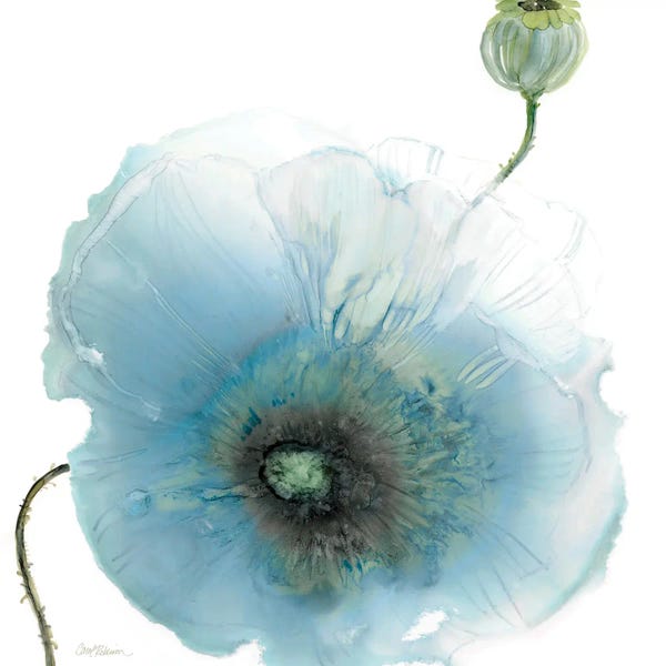 Poppies: Iridescent Blue Poppy I by Carol Robinson