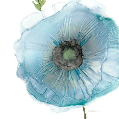 Iridescent Blue Poppy II by Carol Robinson framed wall art