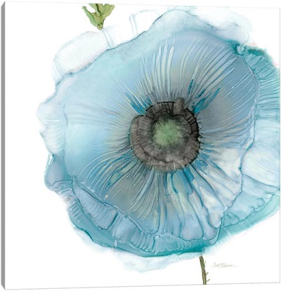 Iridescent Blue Poppy II Canvas Art Print - Carol Robinson