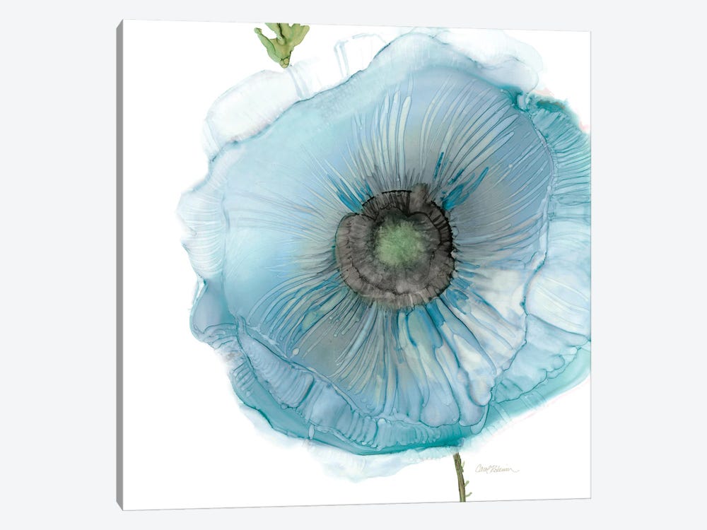 Iridescent Blue Poppy II by Carol Robinson 1-piece Canvas Wall Art