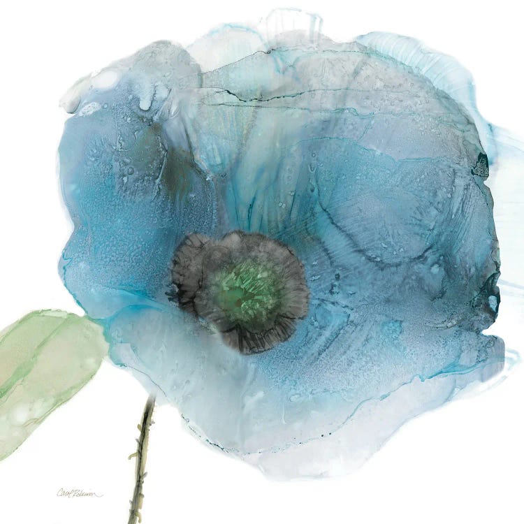 Iridescent Blue Poppy III