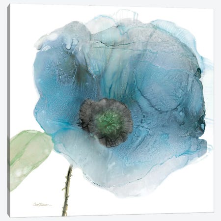 Iridescent Blue Poppy III Canvas Print #CRO1515} by Carol Robinson Art Print