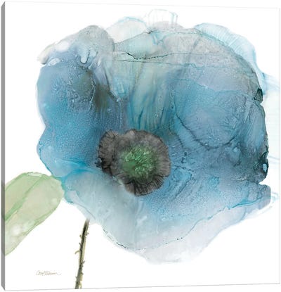 Iridescent Blue Poppy III Canvas Art Print - Carol Robinson