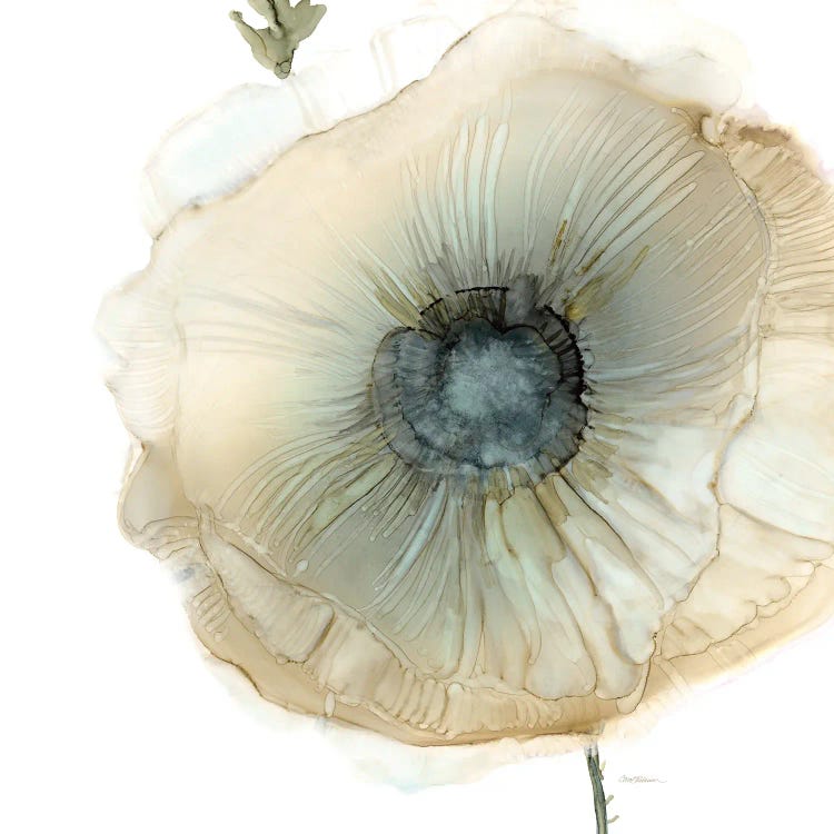 Iridescent Poppy II