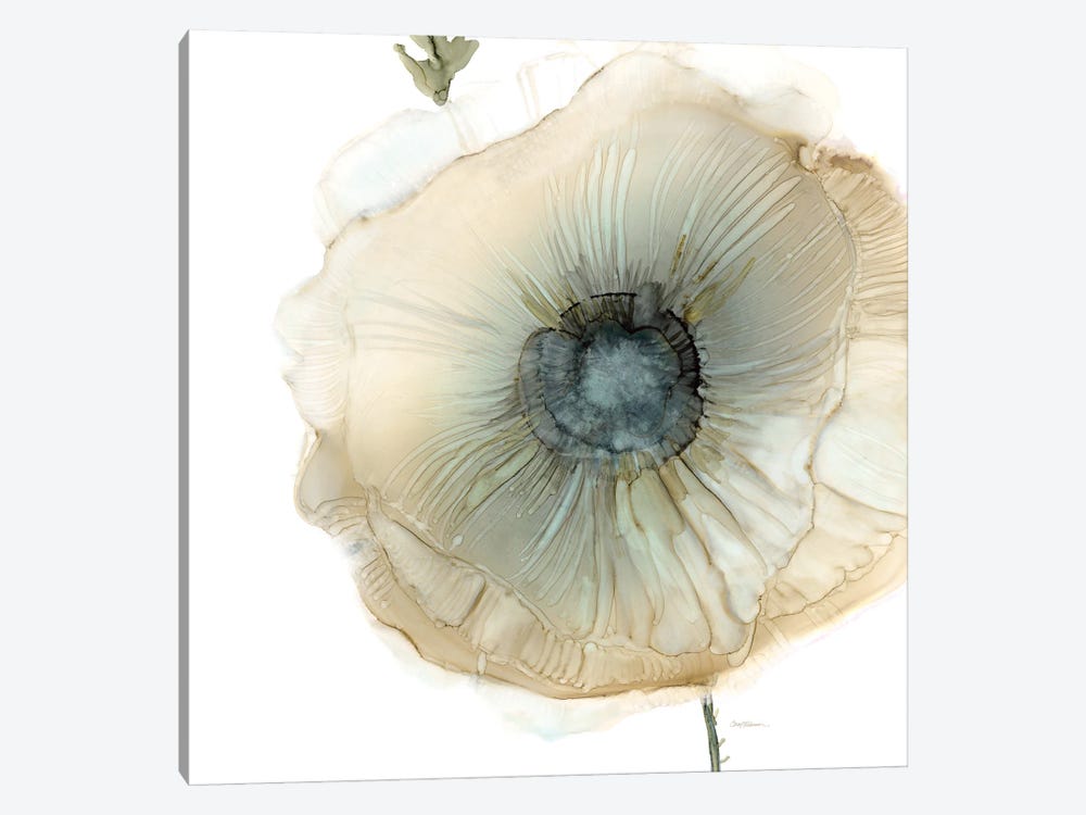 Iridescent Poppy II by Carol Robinson 1-piece Canvas Artwork
