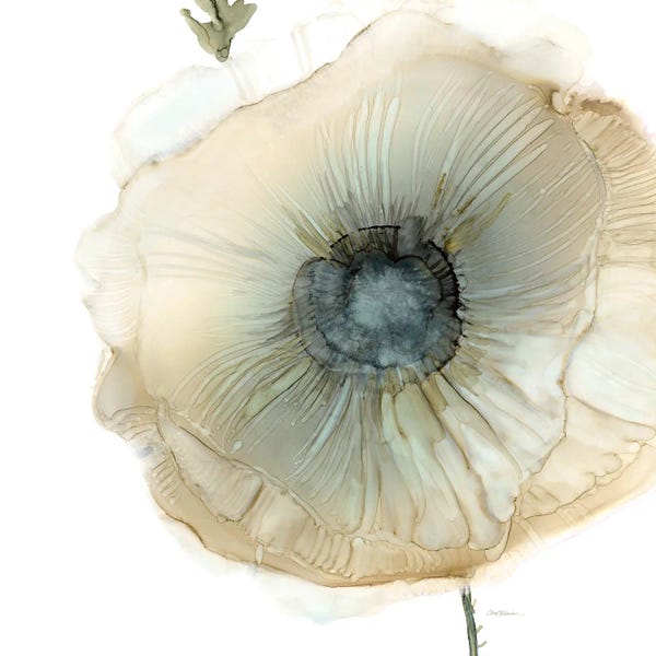 Shabby Chic Décor: Iridescent Poppy II by Carol Robinson