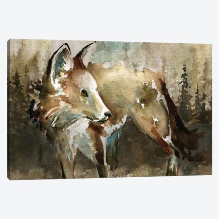 Emerging from the Mist Canvas Wall Art by Carol Robinson | iCanvas