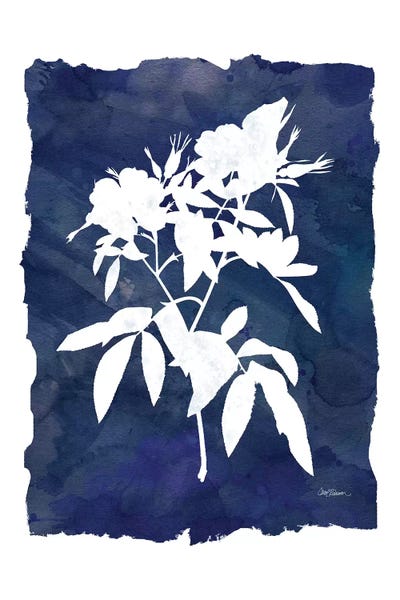 Indigo Botanical I by Carol Robinson canvas print