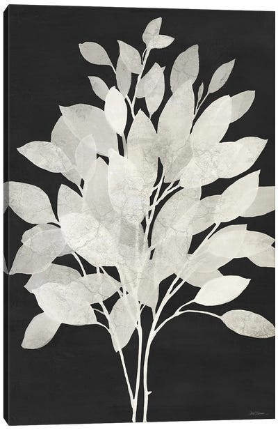 Misty Branches I Canvas Art Print - Black & White Graphics & Illustrations