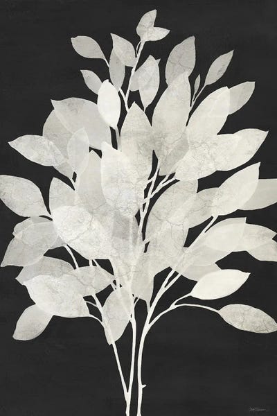 Black & White Florals: Misty Branches I by Carol Robinson