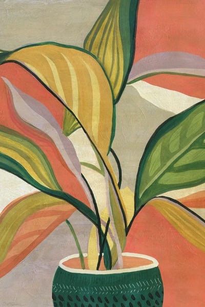 Bohemian Décor: Potted Bird of Paradise by Carol Robinson