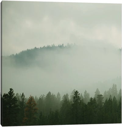 Verdant Country I Canvas Art Print - Mist & Fog Art
