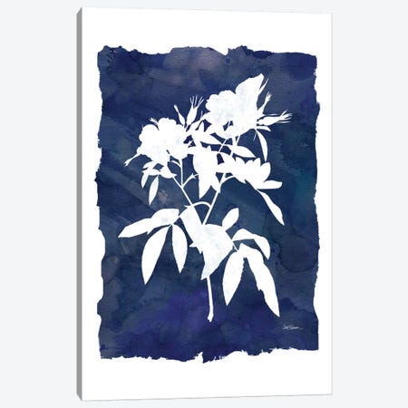 Indigo Botanical I Canvas Print #CRO152} by Carol Robinson Canvas Print
