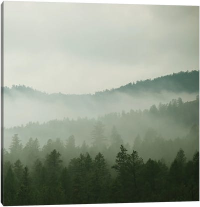 Verdant Country II Canvas Art Print - Mist & Fog Art