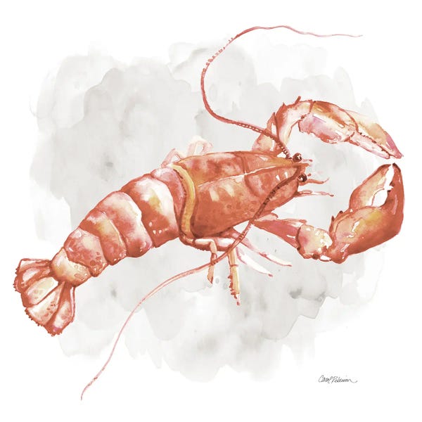 Lobsters: Lobster by Carol Robinson