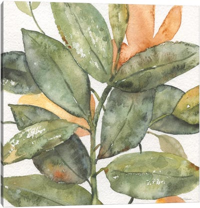 Plantlife I Canvas Art Print