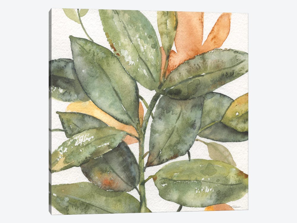 Plantlife I by Carol Robinson 1-piece Canvas Print