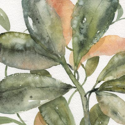 Plantlife II by Carol Robinson canvas print