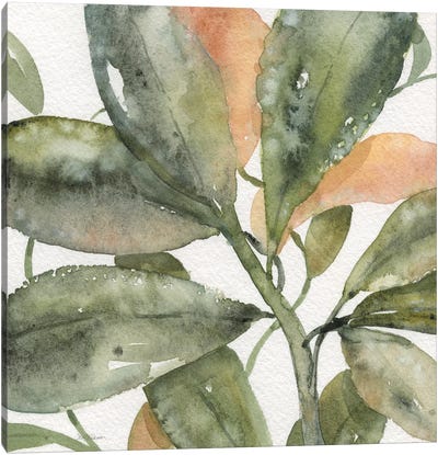 Plantlife II Canvas Art Print