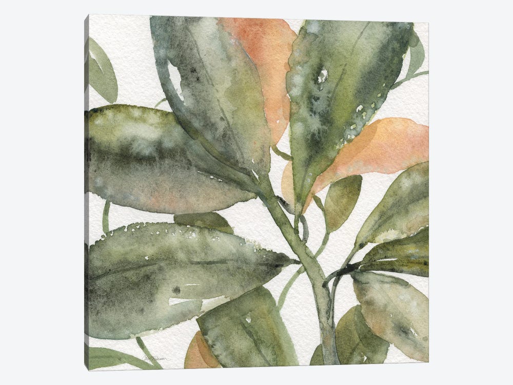 Plantlife II by Carol Robinson 1-piece Canvas Artwork