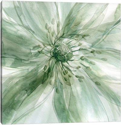Macro Sage Flower I Canvas Art Print - Evergreen & Burlap