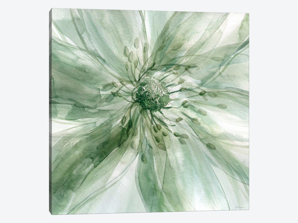 Macro Sage Flower I by Carol Robinson 1-piece Canvas Print