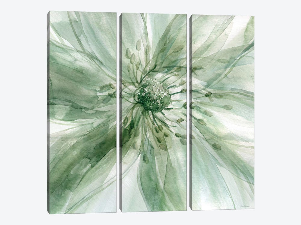 Macro Sage Flower I by Carol Robinson 3-piece Canvas Print