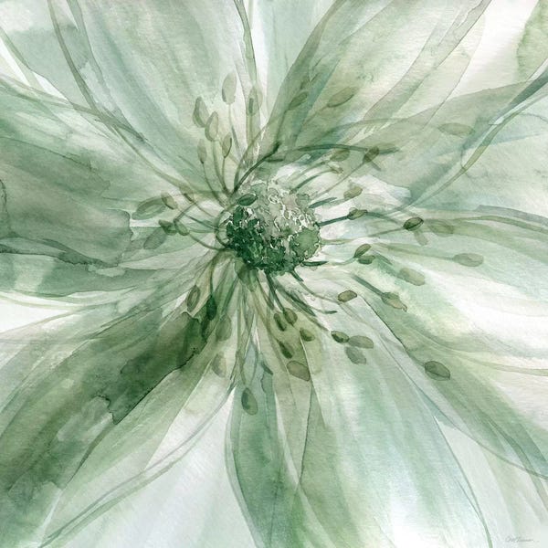 Watercolor Flowers: Macro Sage Flower I by Carol Robinson