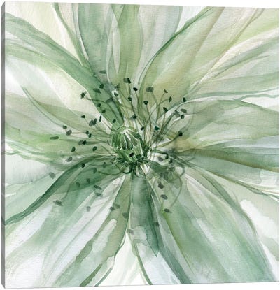 Macro Sage Flower II Canvas Art Print - Watercolor Flowers