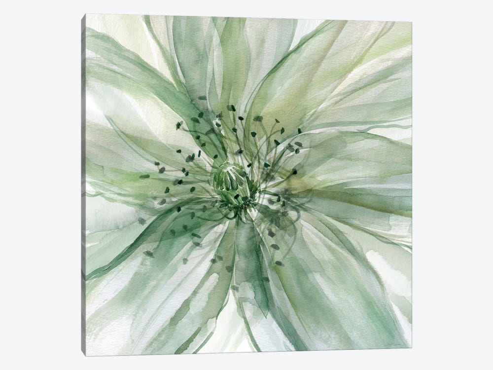 Macro Sage Flower II by Carol Robinson 1-piece Canvas Wall Art