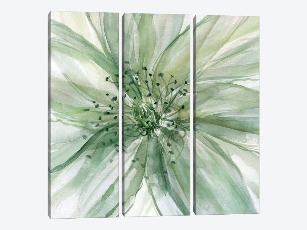 Macro Sage Flower II by Carol Robinson 3-piece Canvas Artwork