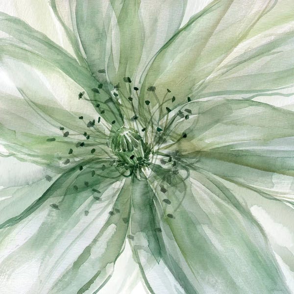Large Art for Bathroom - Canvas Prints: Macro Sage Flower II by Carol Robinson
