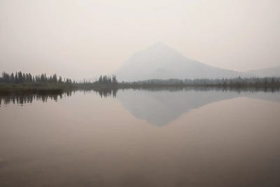 Dawn Reflection by Carol Robinson canvas print