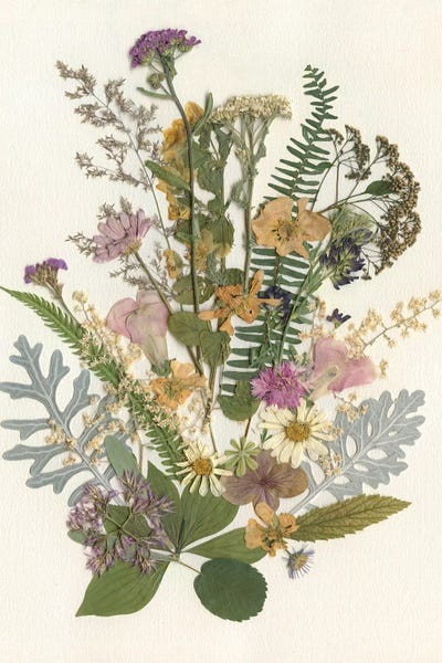 Wildflowers: Organic Bouquet I by Carol Robinson