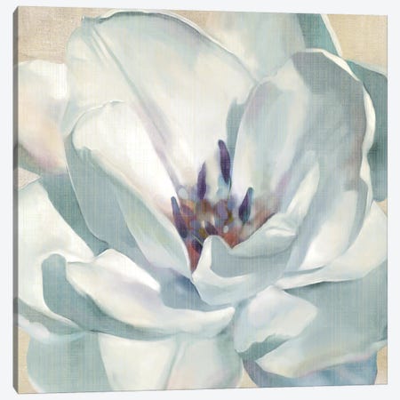 Iridescent Bloom II Canvas Print #CRO15} by Carol Robinson Canvas Wall Art