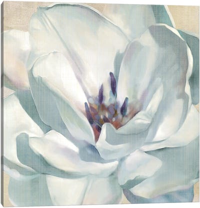 Iridescent Bloom II Canvas Art Print - Calm & Sophisticated Living Room Art