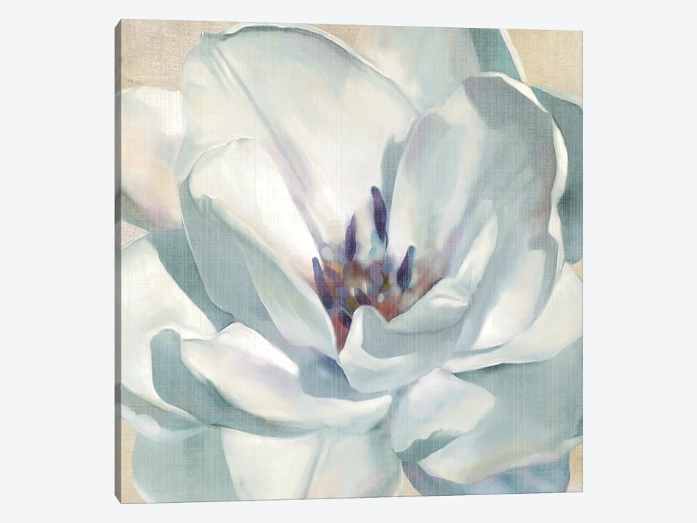 Iridescent Bloom II by Carol Robinson 1-piece Canvas Print