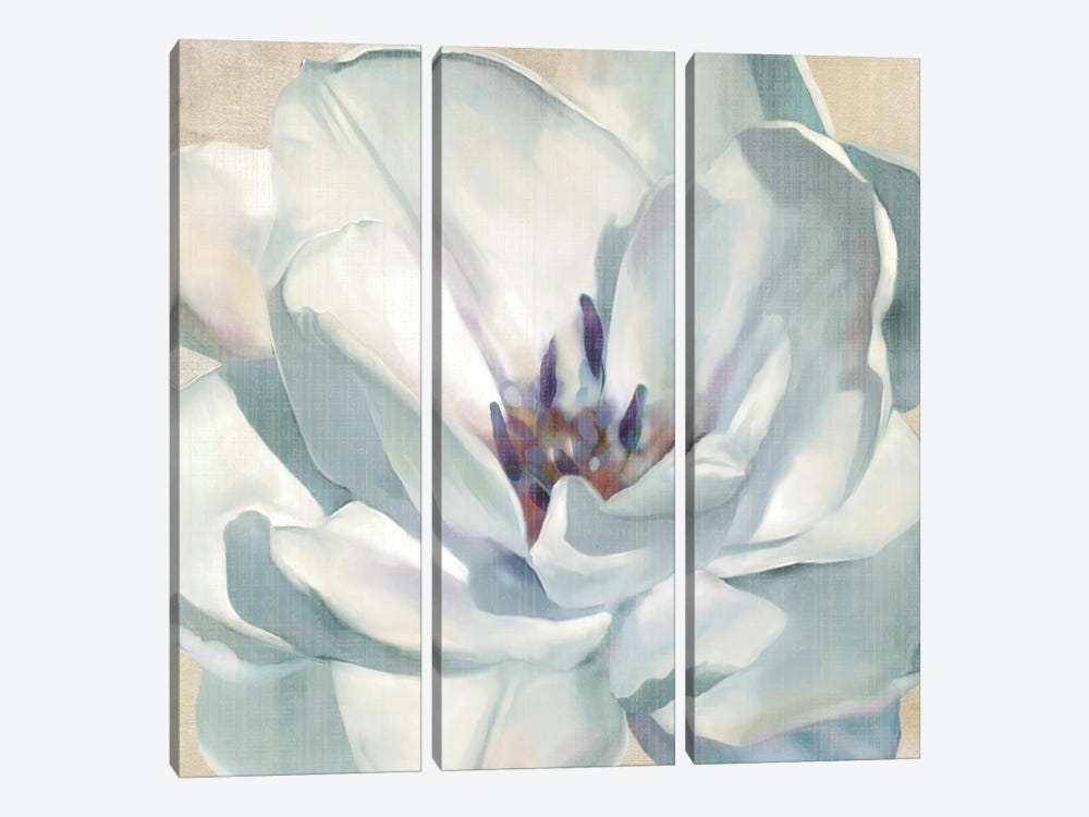Iridescent Bloom II by Carol Robinson 3-piece Canvas Art Print