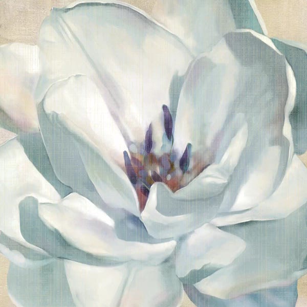 Magnolias: Iridescent Bloom II by Carol Robinson