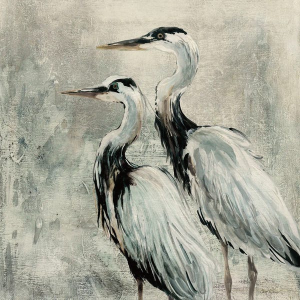 Cranes: Life Mates by Carol Robinson