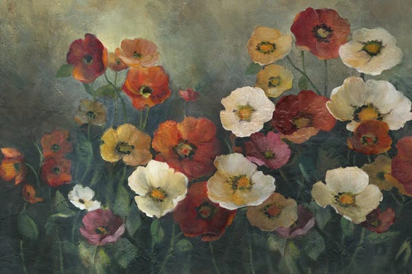 Poppy Perfection