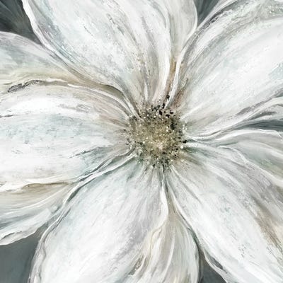 Carol Robinson - Canvas Prints: Dazzling Bloom II