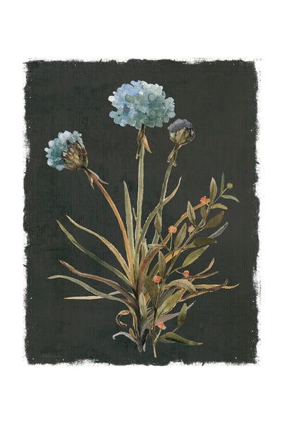 Honeybloom Evening I