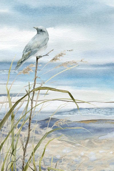 Carol Robinson - Canvas Prints: Seaside Rest I by Carol Robinson