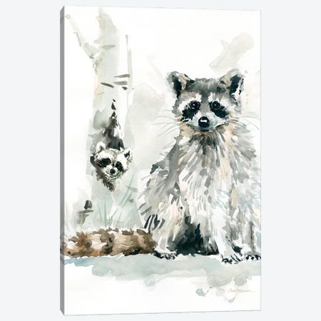 Raccoon and Baby Canvas Print #CRO173} by Carol Robinson Canvas Art Print