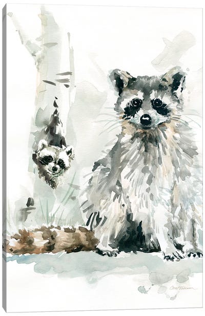 Raccoon and Baby Canvas Art Print - Raccoon Art